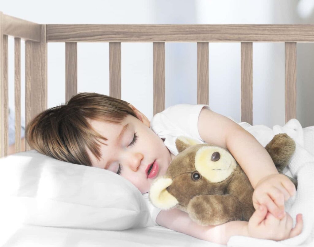 nestl 2 pack toddler pillow white